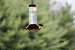 D093AA9A-A22C-4A6C-9086-B75AB24780B4