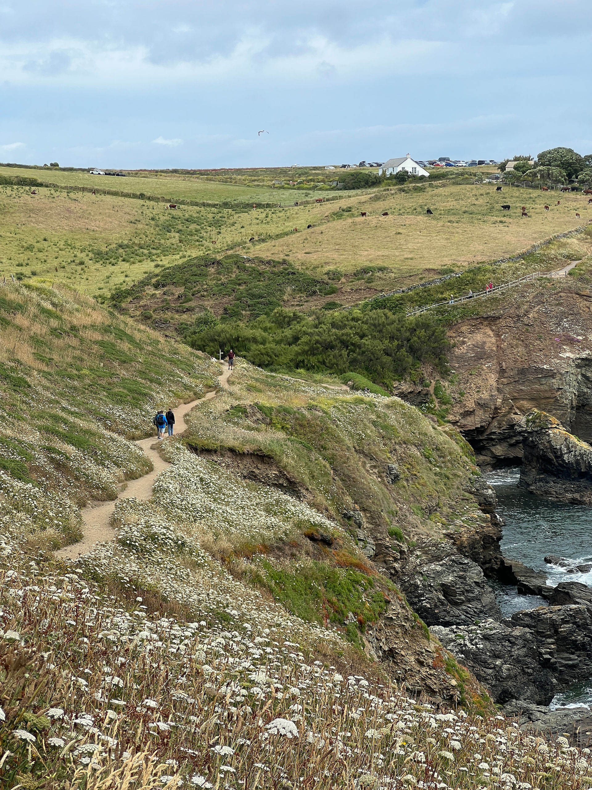 Keynance cove balade sur le sentier en bord de mer