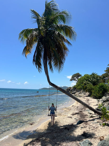 Plage paradisiaque a Puerto Rico