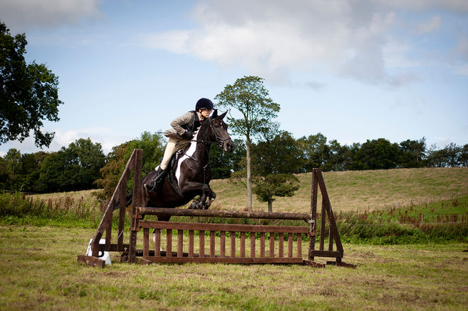 showjumping01 1372x915.jpg