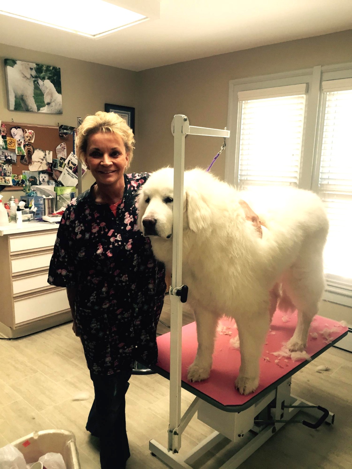 Fluffy Puppy Grooming Spa