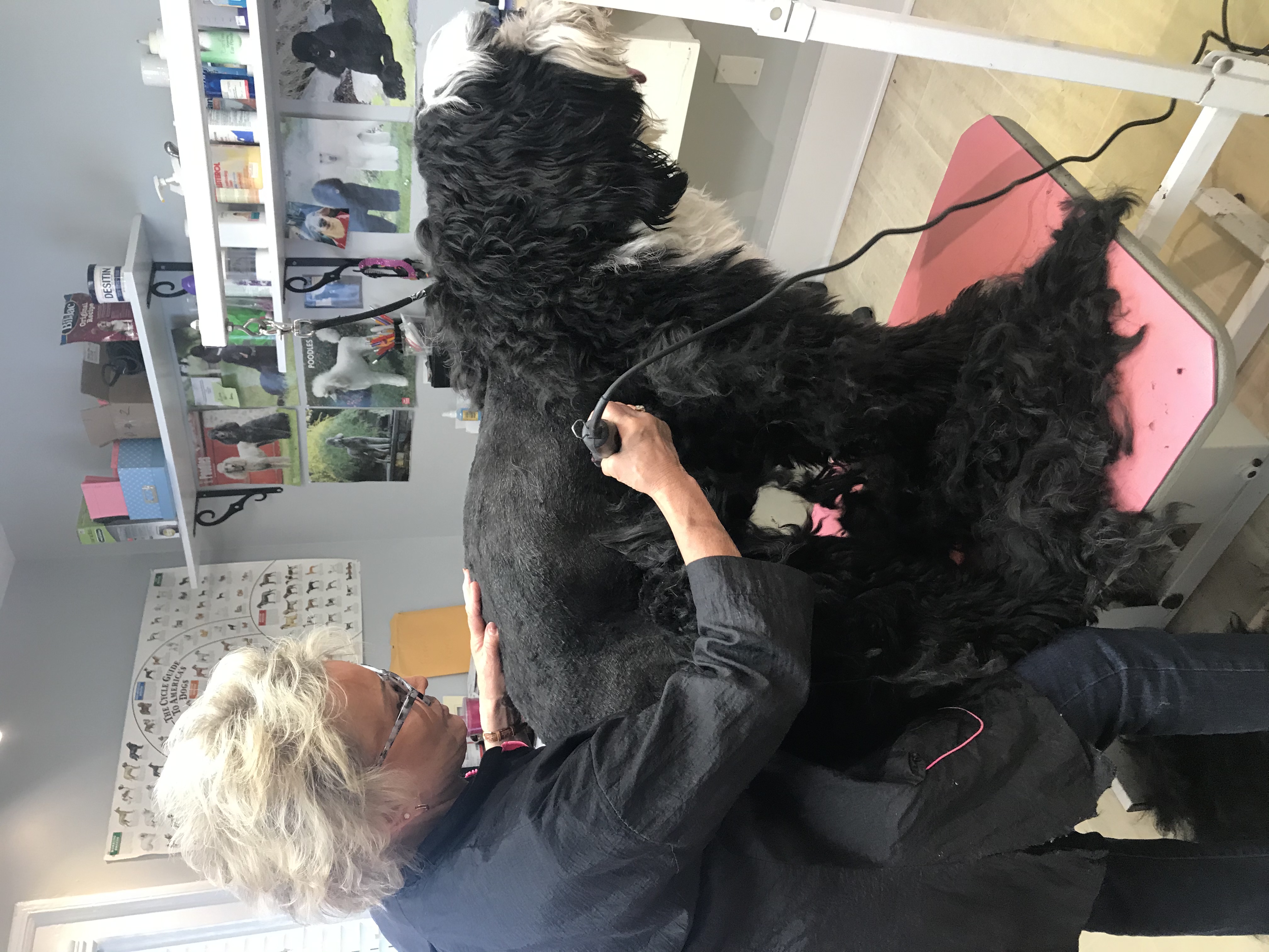 Bonnie Grooming