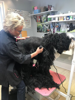 Bonnie Grooming