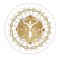 LogoAccademiaHolistica©