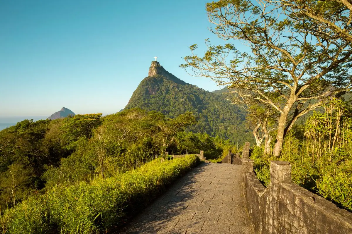 Aussicht auf den Corcovado vom Tijuca Wald aus