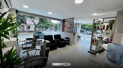 Captura de Pantalla 2023-07-06 a la(s) 12.44.37 p. m..png