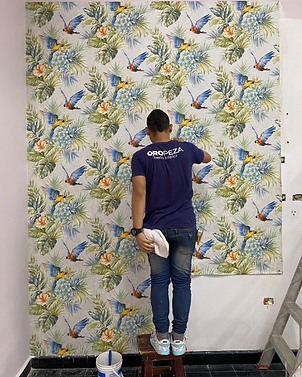 SUMINISTRO E INSTALACIÓN DE PAPEL DE COLGADURA  ​