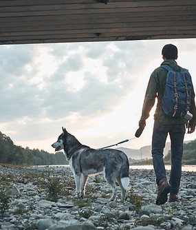 L'uomo e il suo cane