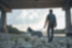 Be Fit with your Dog Membership Enrollment