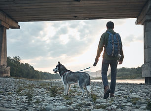 Homme et son chien