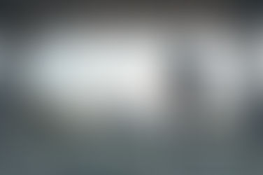 Not a Simple Walk in the Park: Claims Case Study