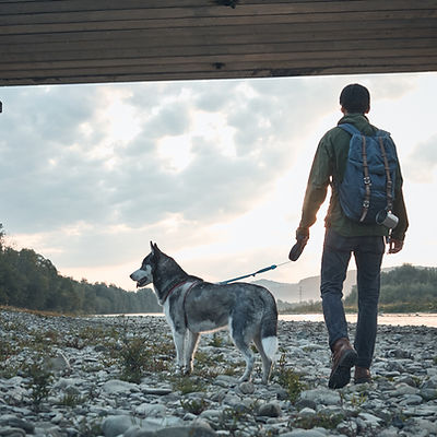 Man and His Dog