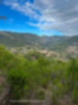 The village of Valldemossa appears through the trees as walkers near the end of the GR221 trail from Esporles.