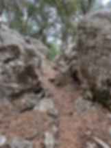 A narrow forest path lined with boulders on the GR221 trail in Mallorca’s Serra de Tramuntana.