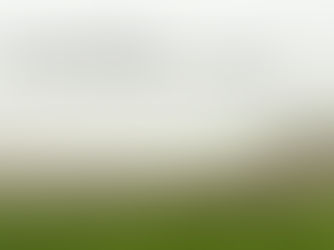 Misty rural landscape with green field, hedgerows and distant hills partly hidden by fog, suggesting hope and clarity still to come