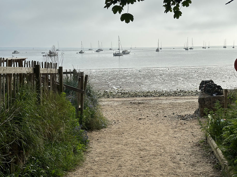 south-beach-studland with yachts