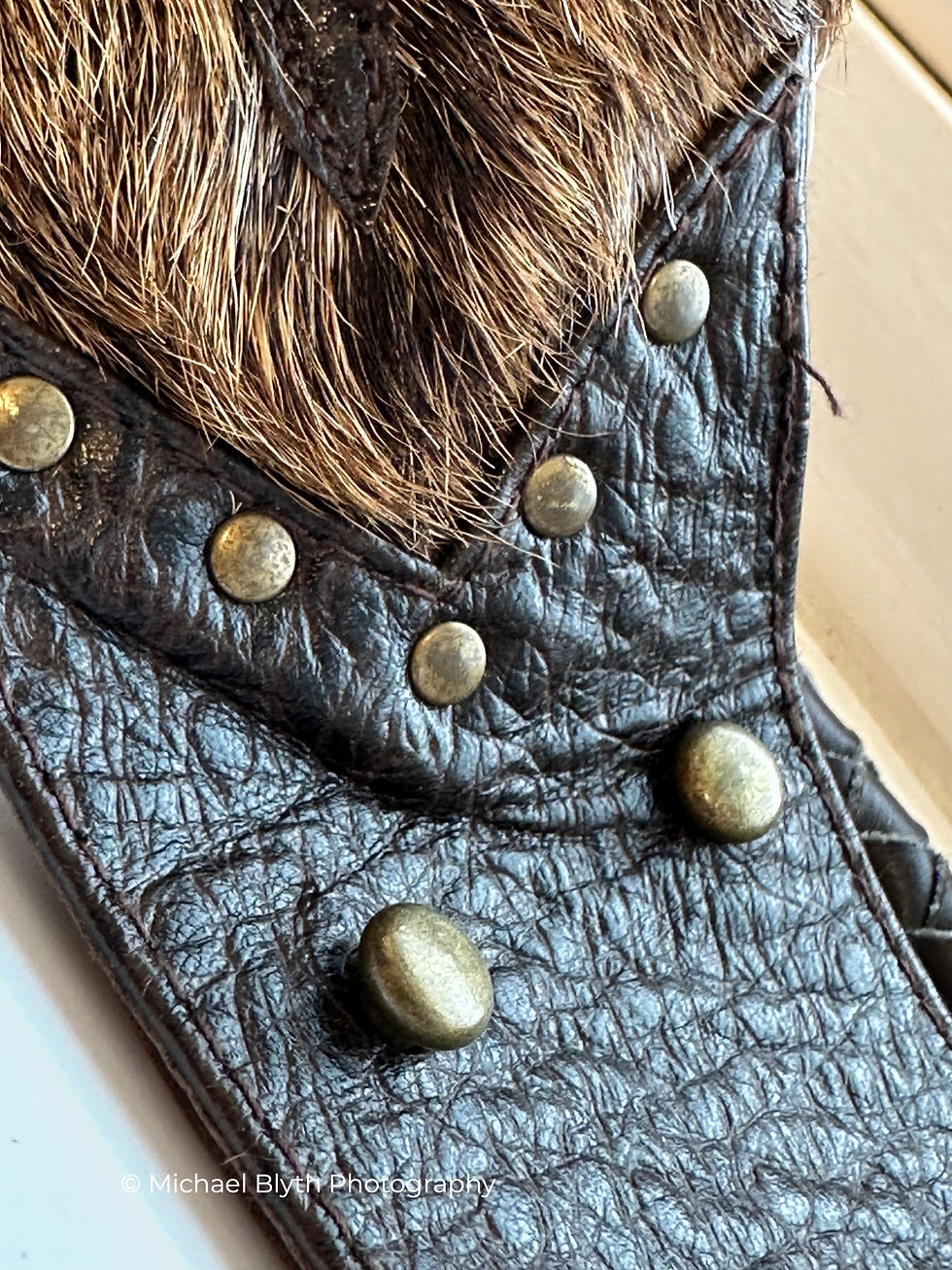 Cluster of metal studs on the leather belt with textured pattern. Photographed as creative art detail