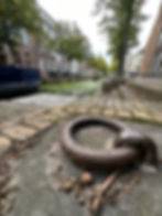 Rusty ring on a cobblestone path by a serene canal. Trees and historic buildings line the water, with a small bridge in the background.