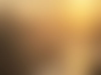 sunrise and mist on the Dorset Stour