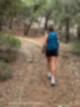Walking through ancient oak woods on the GR221 trail in Mallorca’s Serra de Tramuntana