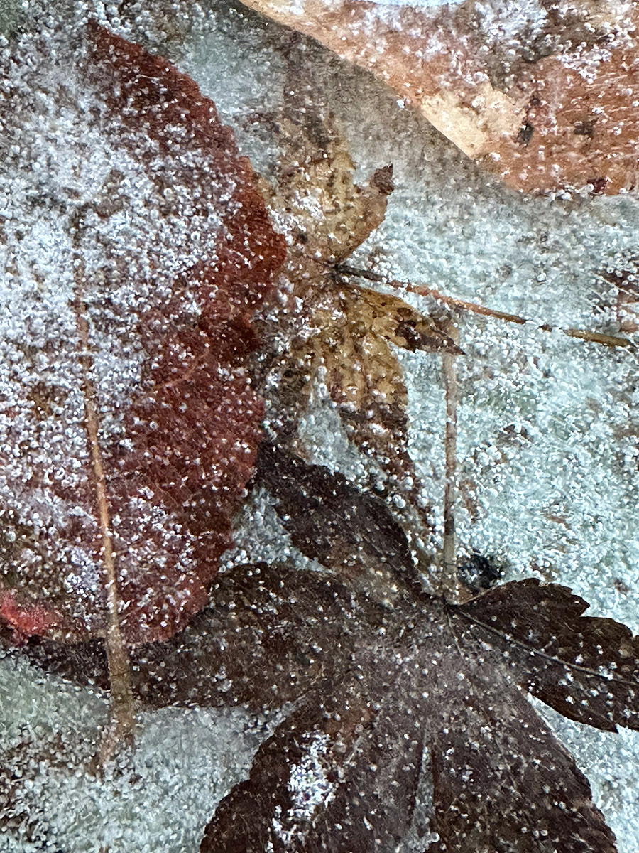 leaves under thin ice with scattered frozen bubbles and gritty texture