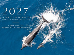 Cover of A Year of Inspiration 2027 photographic desk diary by Michael Blyth, featuring dolphins swimming in blue sea