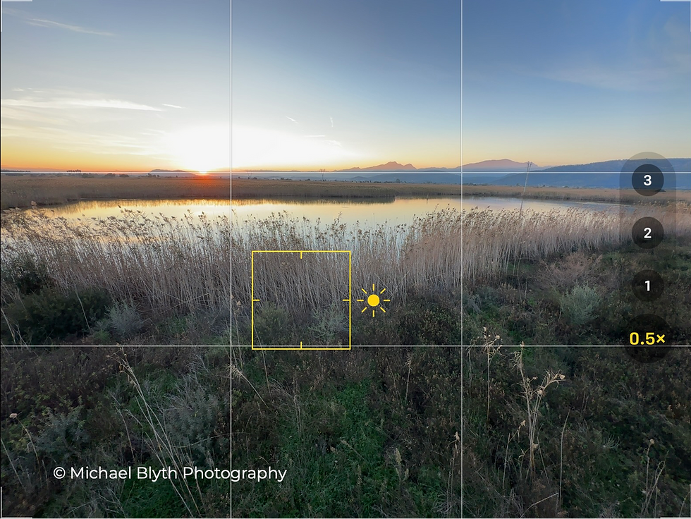 iPhone camera view of S’Albufera lagoon at sunset, Mallorca, with exposure set on foreground reeds