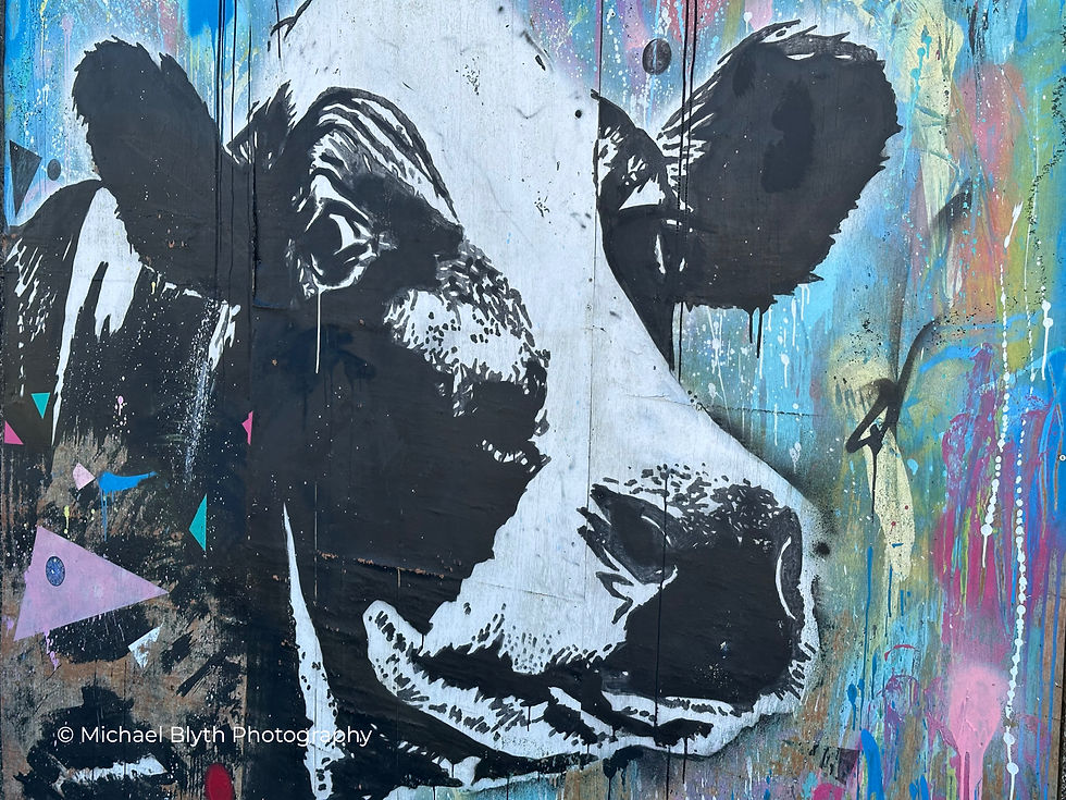 Black cow mural on a colorful, splattered wall with geometric shapes. Text reads "Michael Blyth Photography." Artistic and bold. Newport, Wales