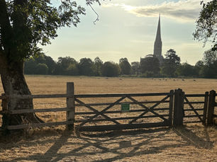 shadows from gate posts crossing dry summer grass and leading the eye towards Salisbury Cathedral.