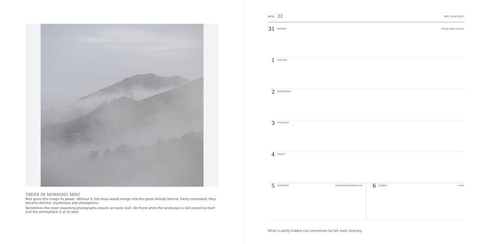 Calendar spread with misty mountain landscape, titled Trees in Morning Mist, and week 22 May/June 2027 on the right page.