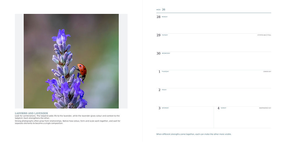 A Year of Inspiration 2027 diary spread showing a ladybird on lavender beside a week-to-view page