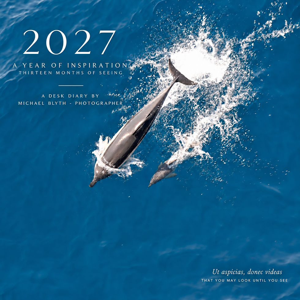 Two dolphins splash through bright blue ocean on a 2027 cover reading A Year of Inspiration, by Michael Blyth photographer.