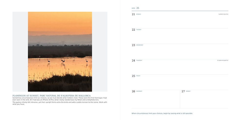 A Year of Inspiration 2027 diary spread showing flamingos at sunset in Mallorca beside a week-to-view page