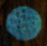 Logo-Scaled.png