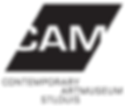 CAM St. Louis Transparent Logo.png
