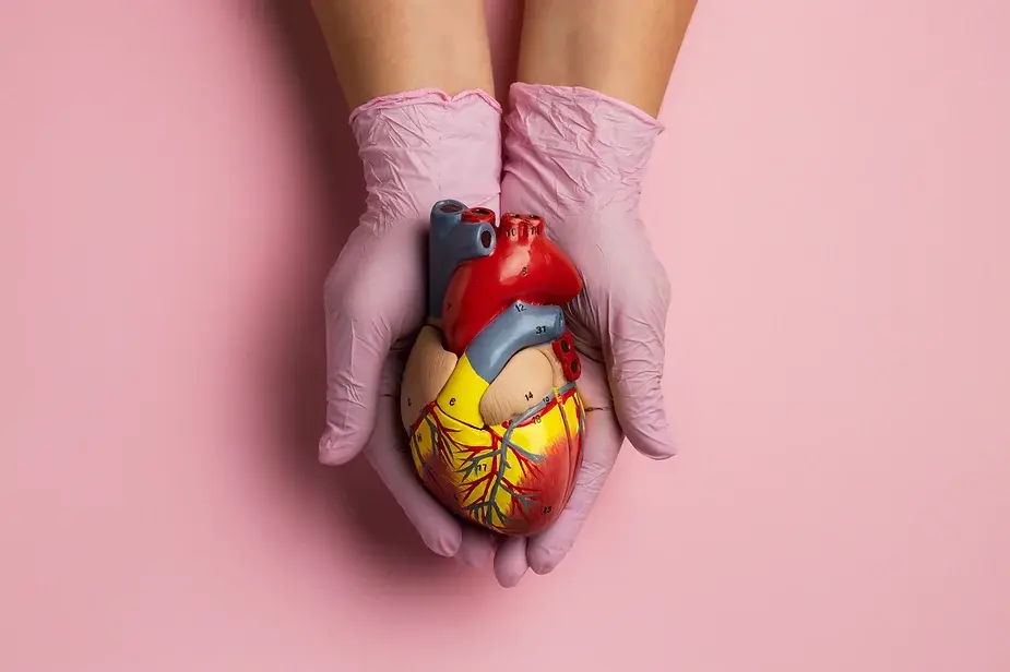 Discover the ultimate guide to heart health: Learn how to keep your heart healthy