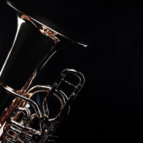 Eastman EBF864G F tuba (Gold brass bell) | Houghton Bland Low B