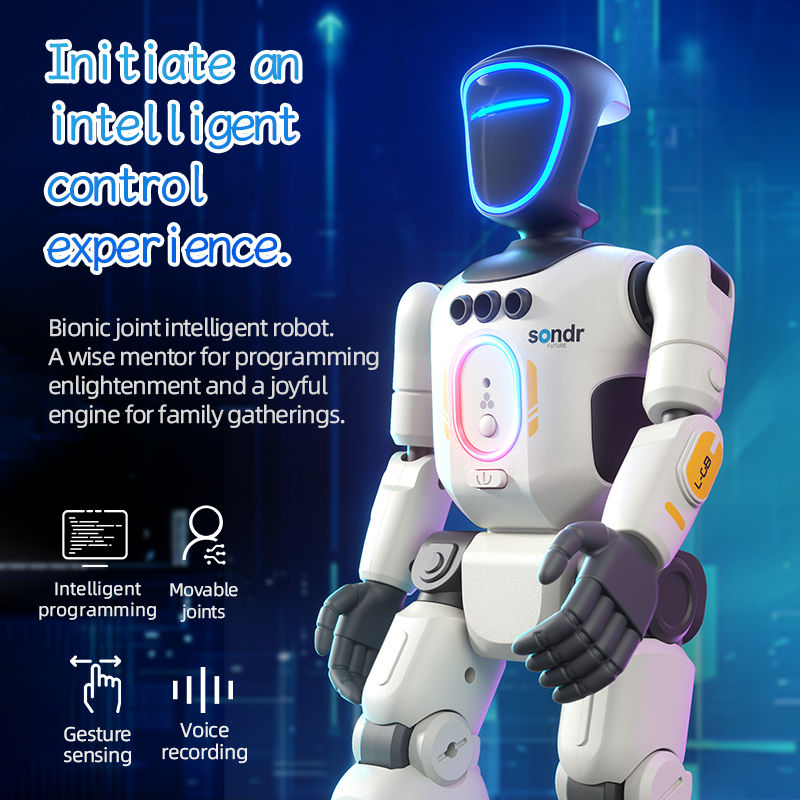 Smart Programming Humanoid Gesture Sensing Remote Control Robot 2.4G Joint Mobil