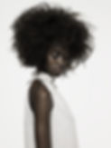 Hair Model
