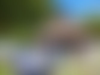 NPO法人 泉京・垂井さんによるJICAプログラムのお知らせ
