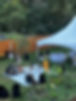Screenshot_20240515_101345_Google.jpg