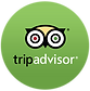 tripadvisor-logo.png