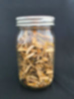 Thumbnail: Devils Club Inner Bark