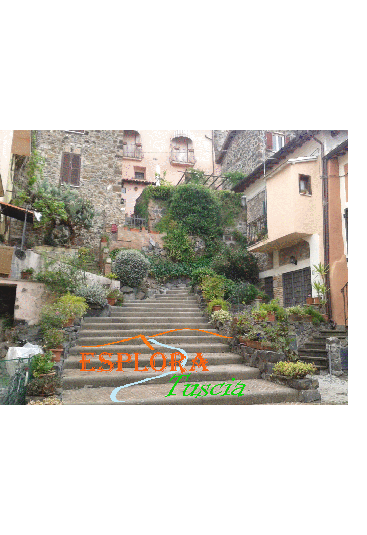 Esplora Tuscia-Borgo di Trevignano Romano.gif