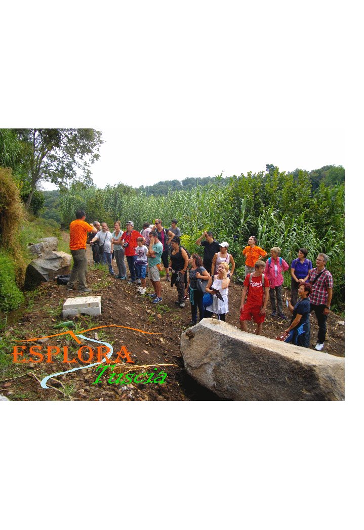 Esplora Tuscia- Nepi spiegazione formazione cascata di Cavatera.gif