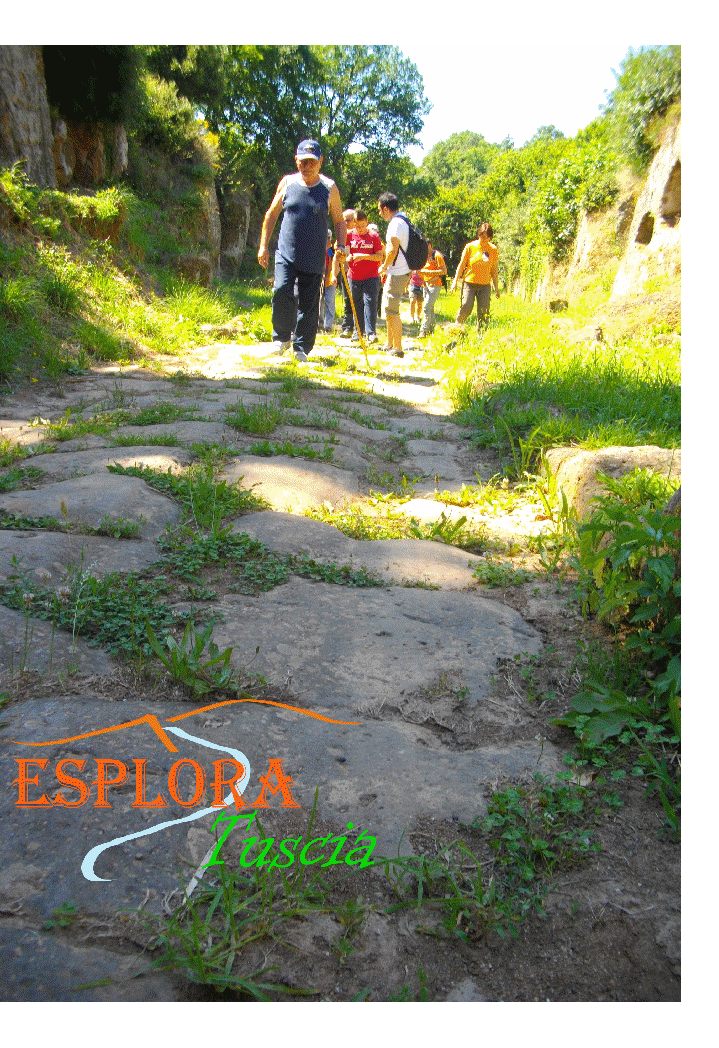 Esplora Tuscia-Via Amerina-Cavo degli Zucchi.gif