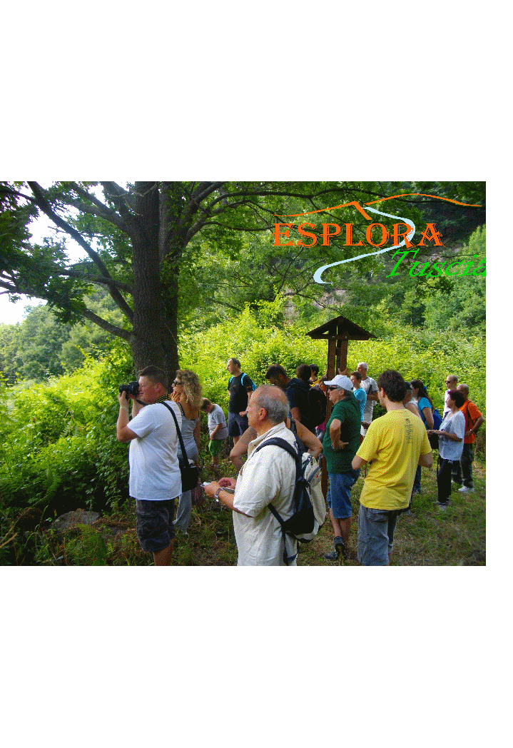Esplora Tuscia-Punto panoramico Lago di Vico.gif