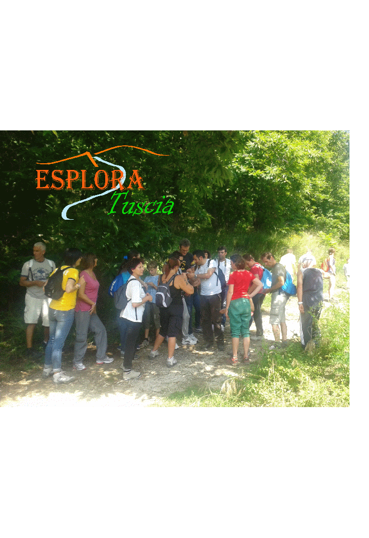 Esplora Tuscia-Percorso geologico Monte Venere.gif