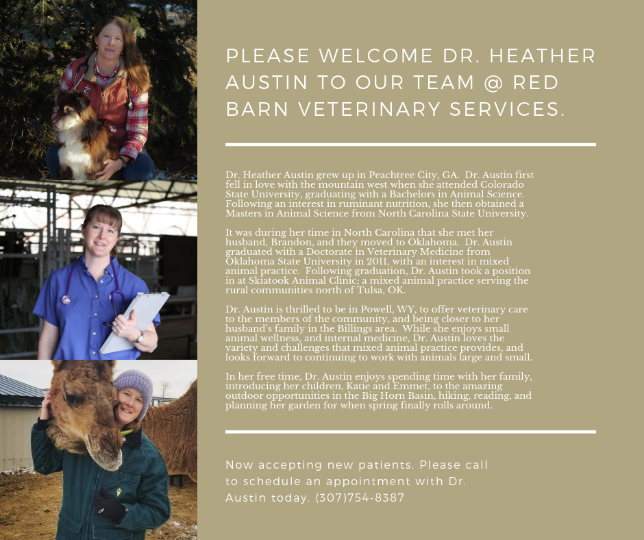 Welcome Dr Heather Austin