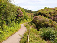 Clay Trail01.jpeg
